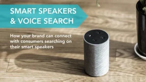 voice search